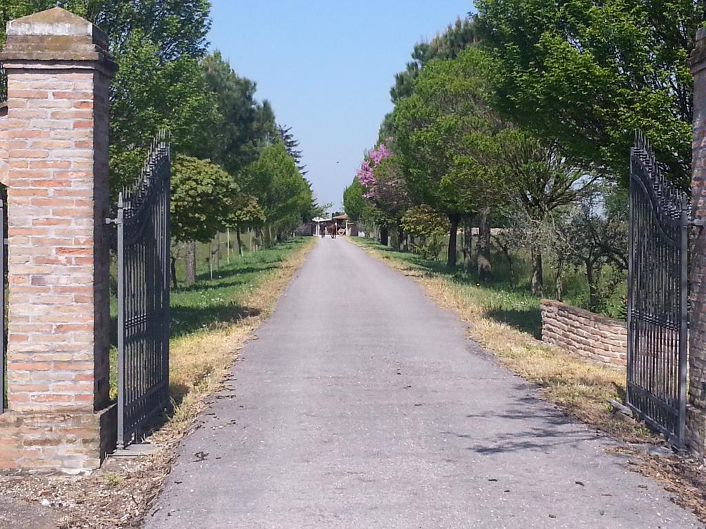 Agriturismo L'Angelina Villa Alfonsine Екстериор снимка