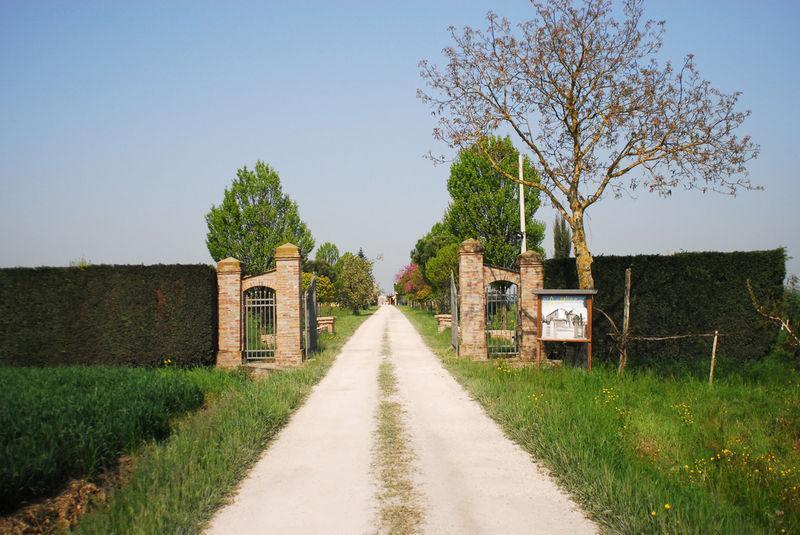Agriturismo L'Angelina Villa Alfonsine Екстериор снимка
